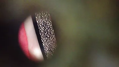 Durante el entrenamiento, las lesbianas sudorosas lamen videos de cholitas teniendo sexo suavemente los coños afeitados